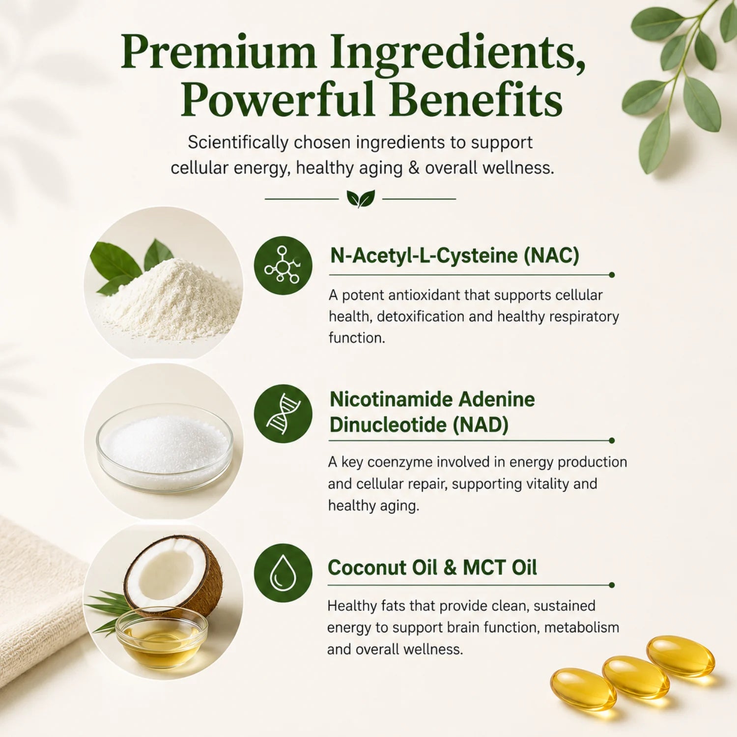 NAC + MCT Oil Soft Gel