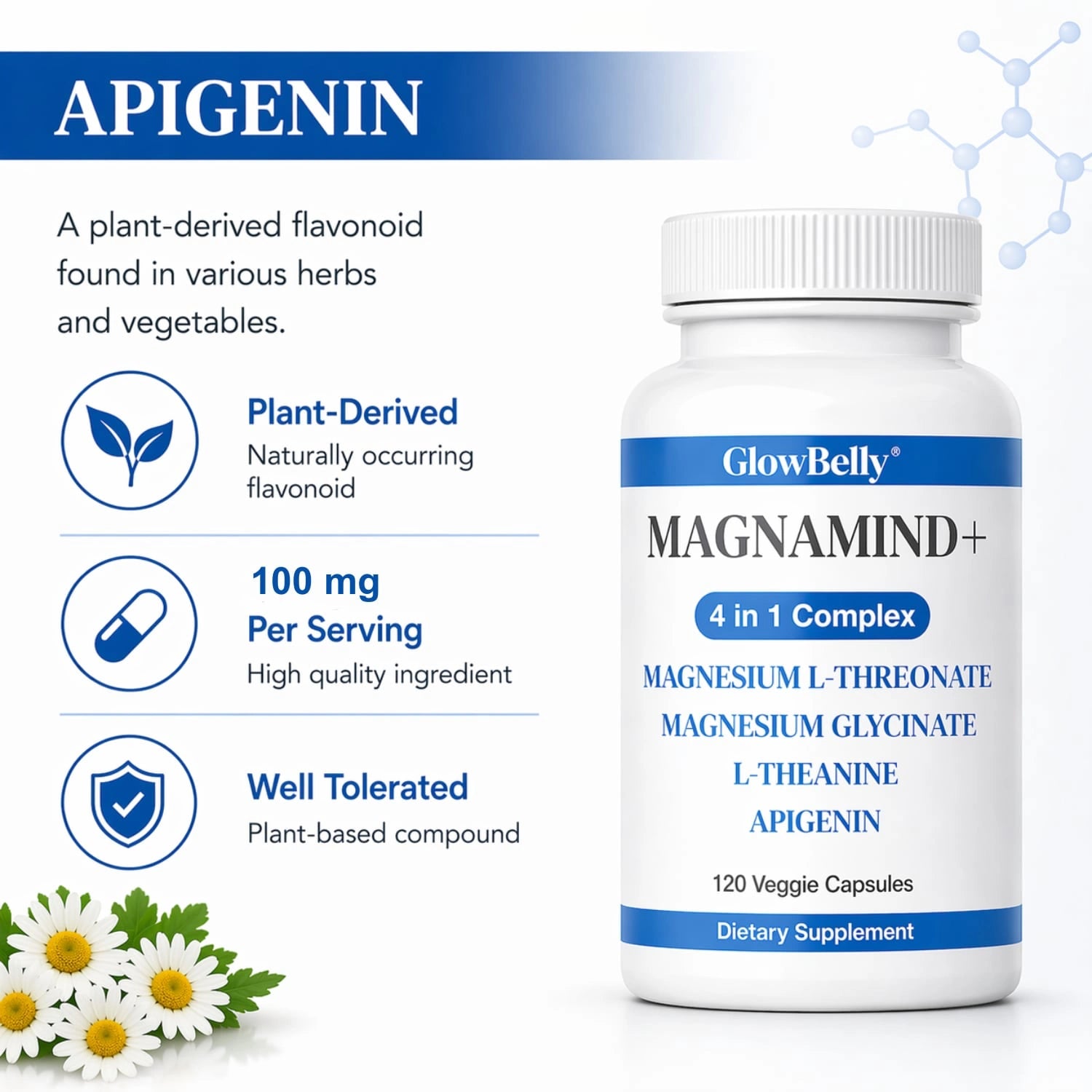 4 in 1 Magnesium Complex