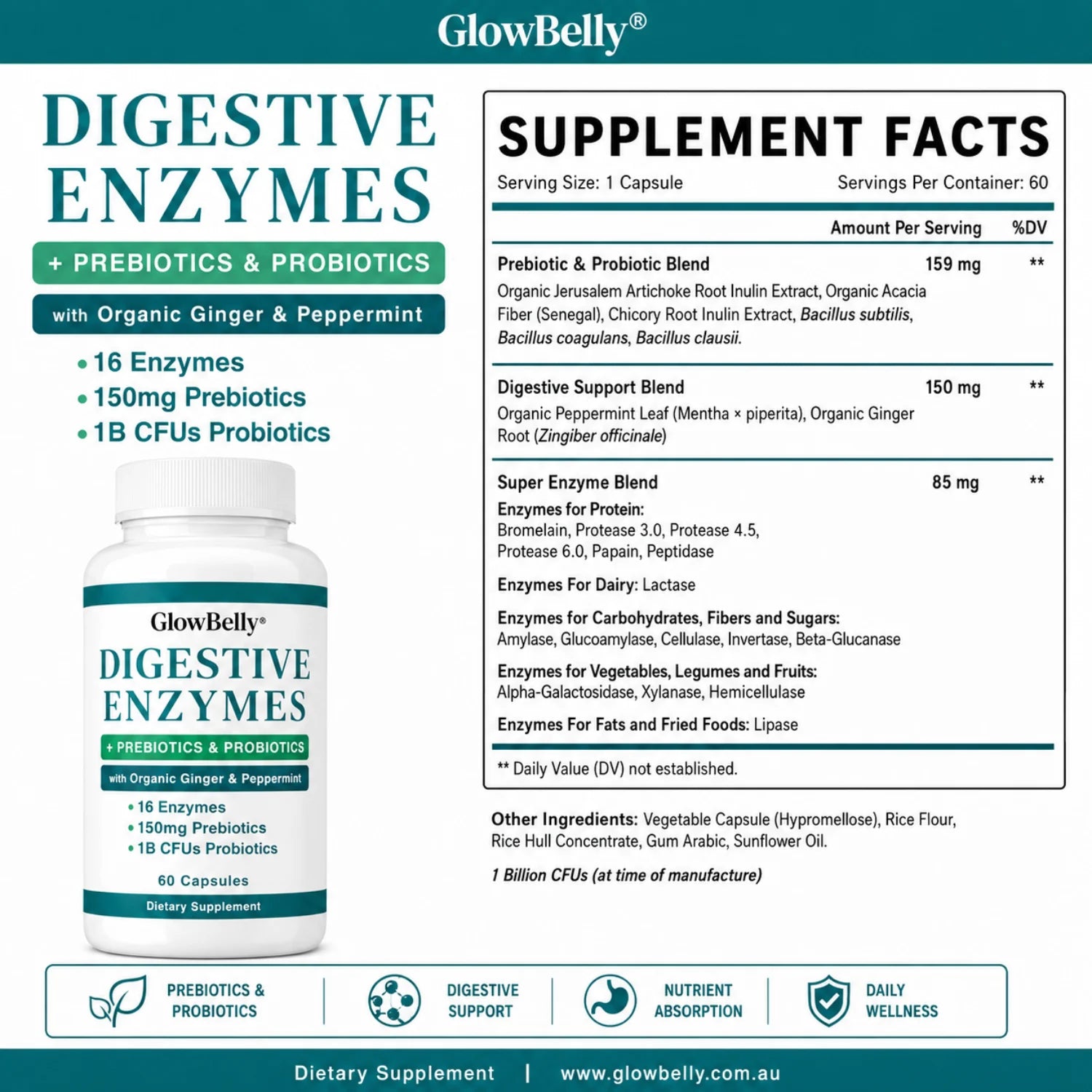 Digestive Enzymes