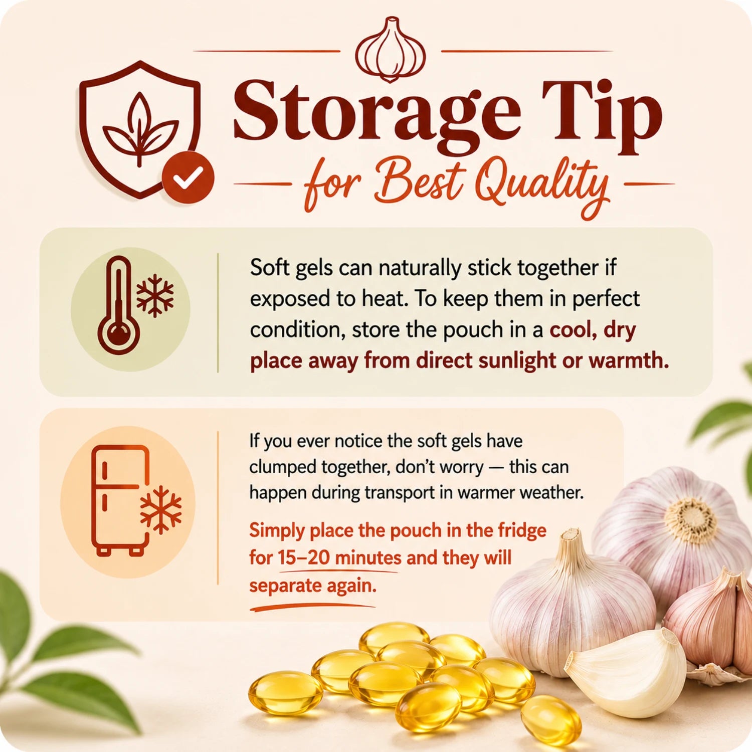 Aged Garlic Extract - 300 Softgels