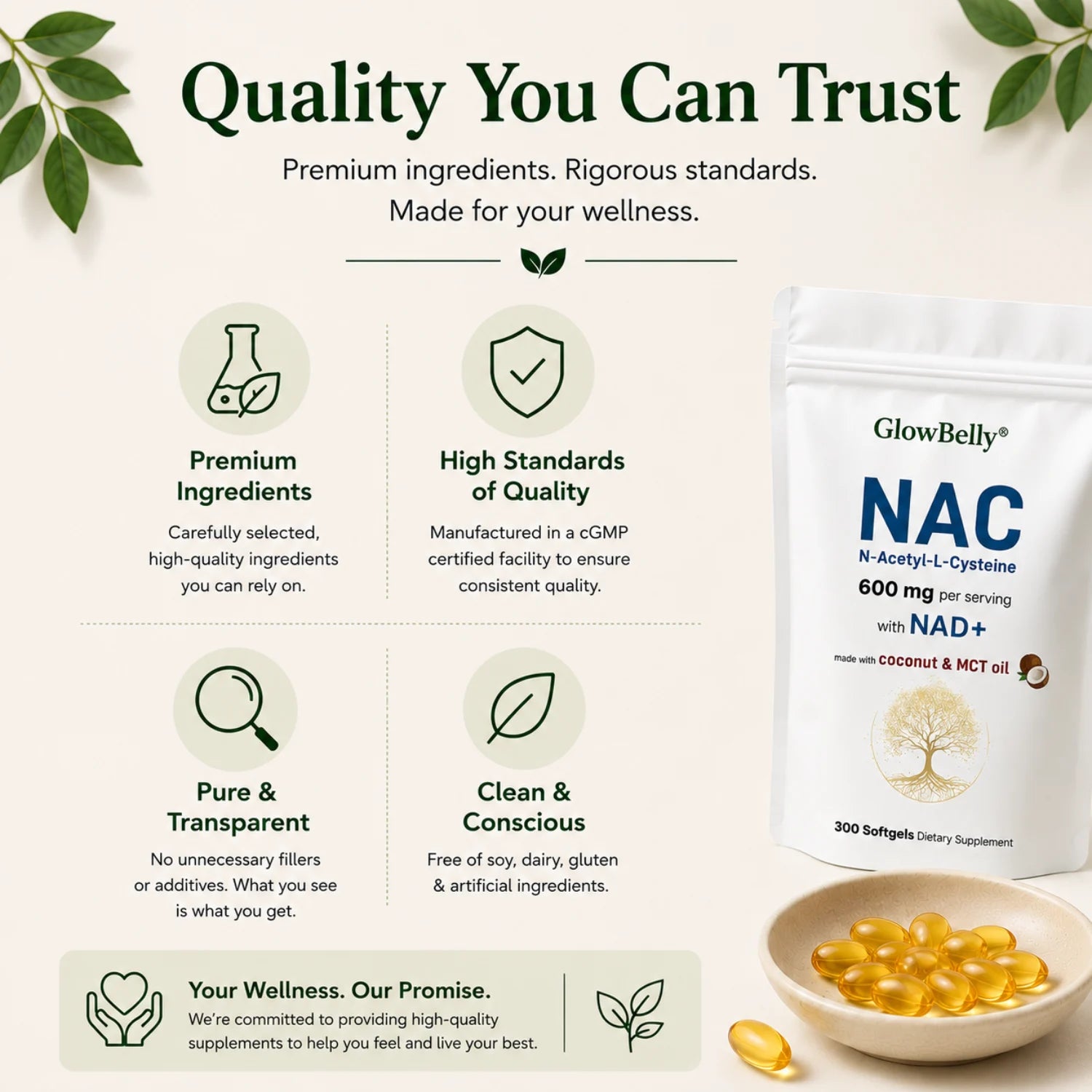 NAC + MCT Oil Soft Gel