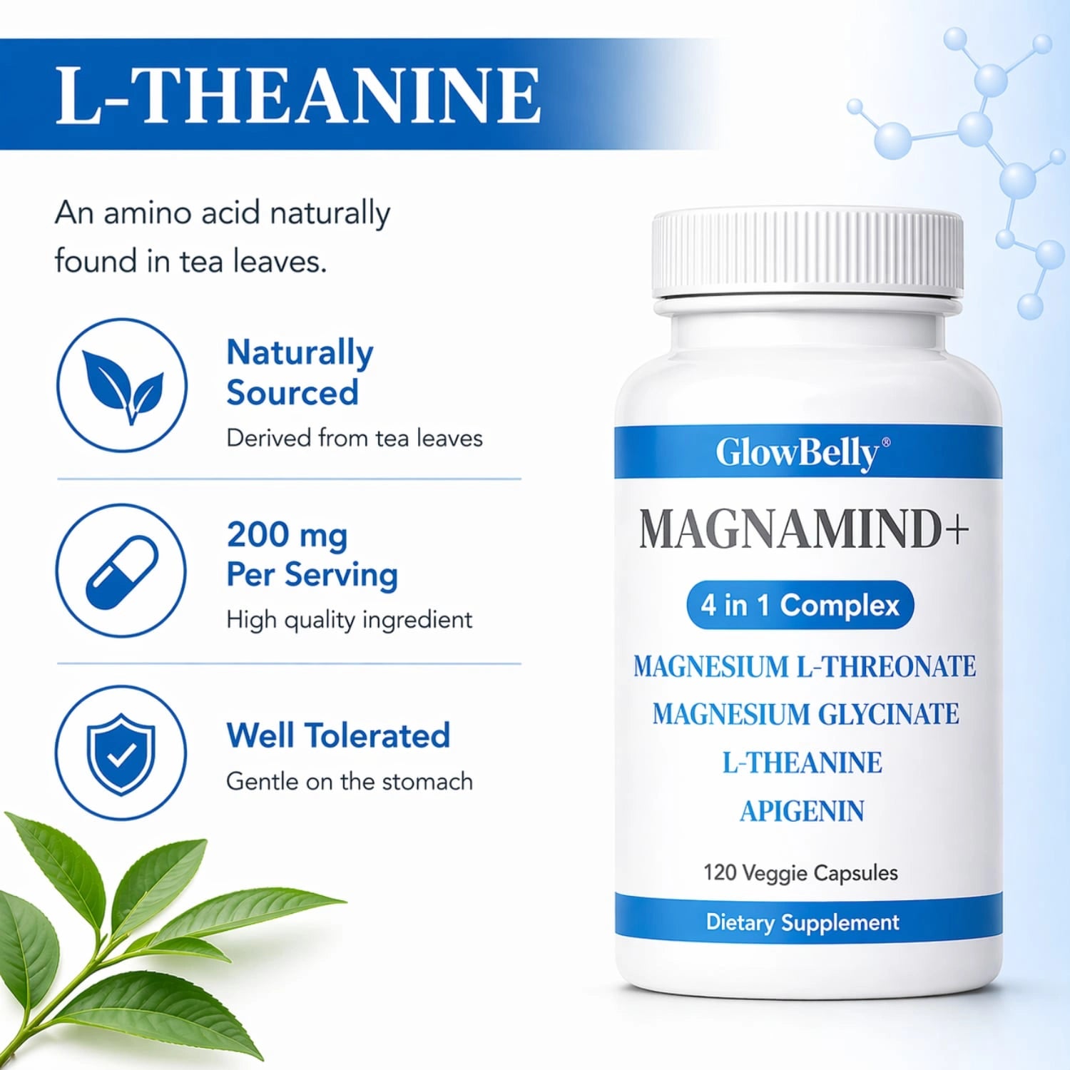 4 in 1 Magnesium Complex