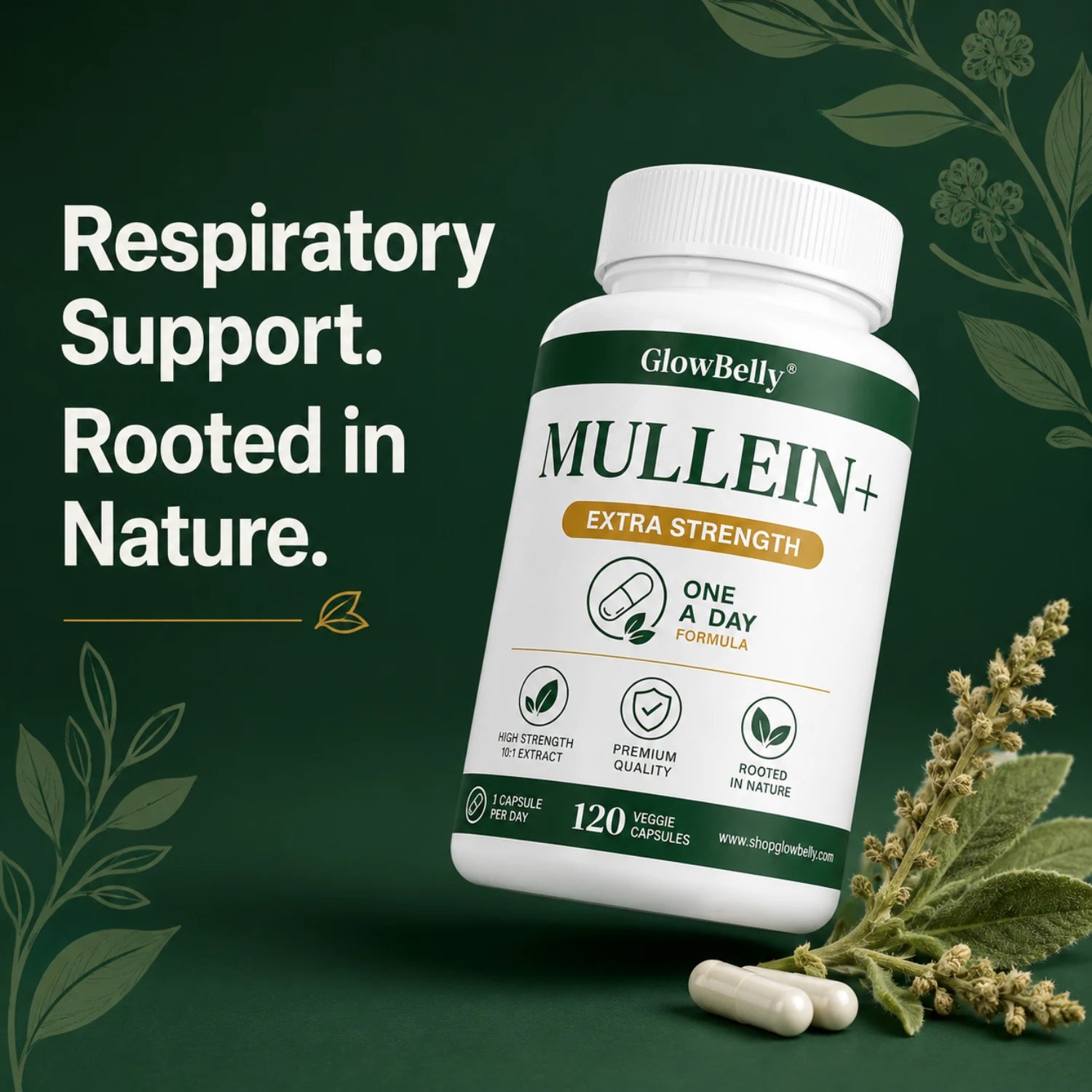 Mullein Leaf Extract