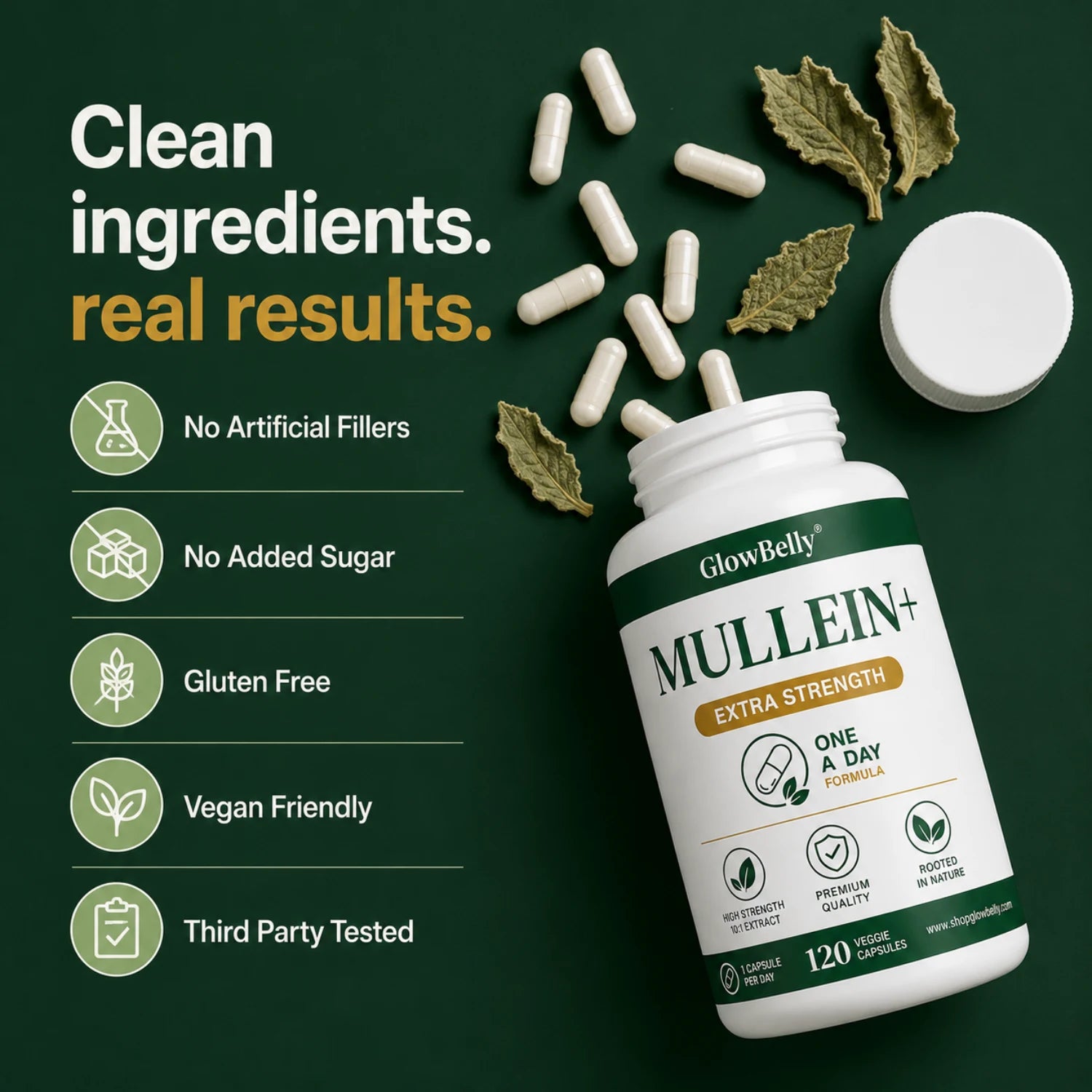 Mullein Leaf Extract