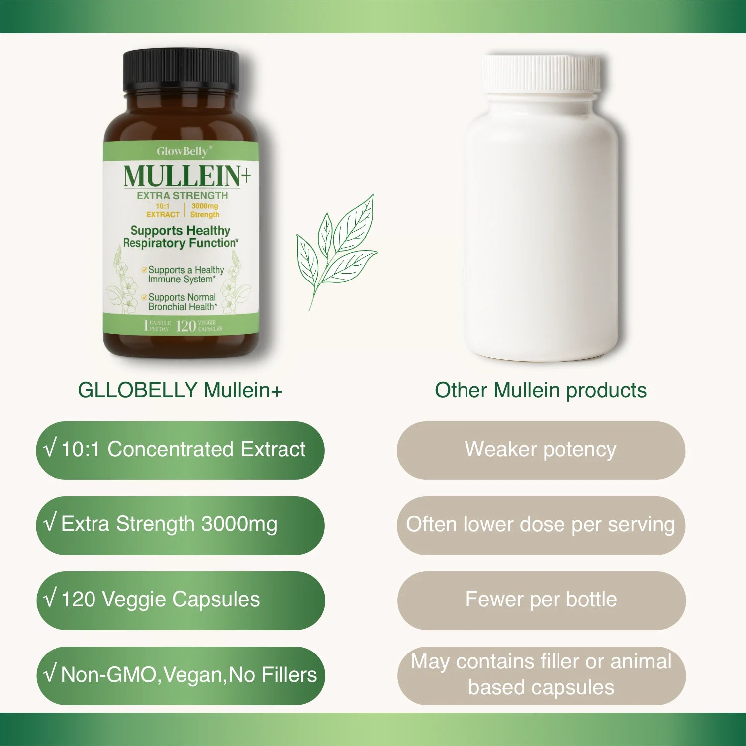 Mullein Leaf 10:1 Extract | 3000mg