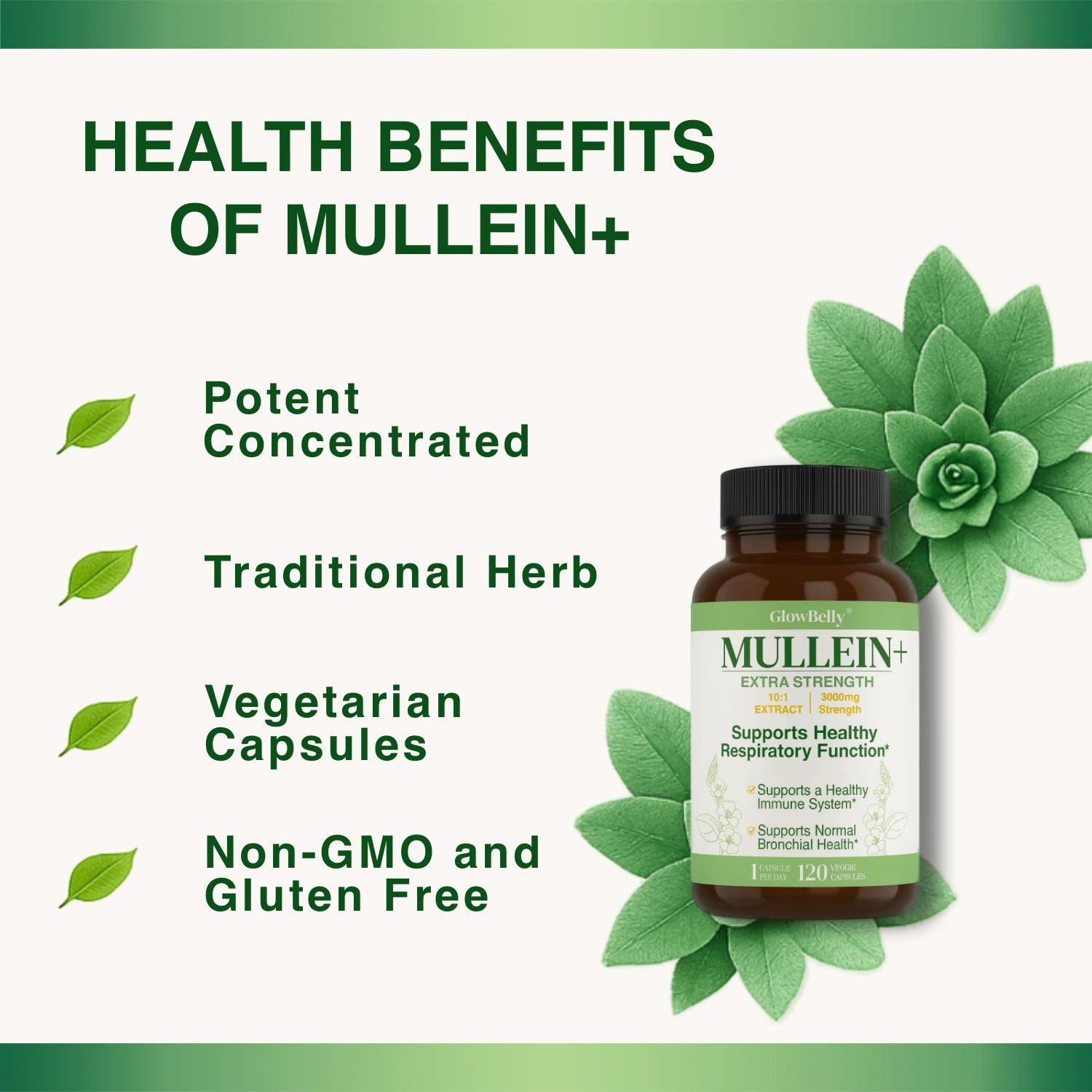 Mullein Leaf 10:1 Extract | 3000mg