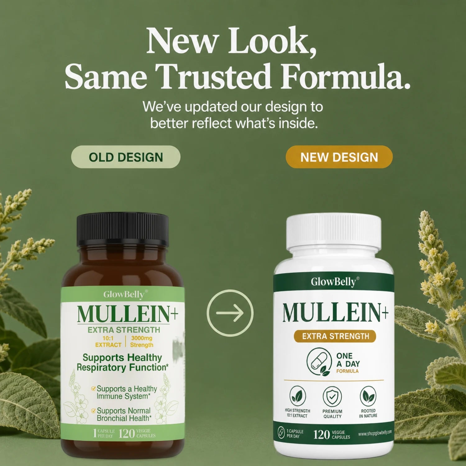 Mullein Leaf Extract