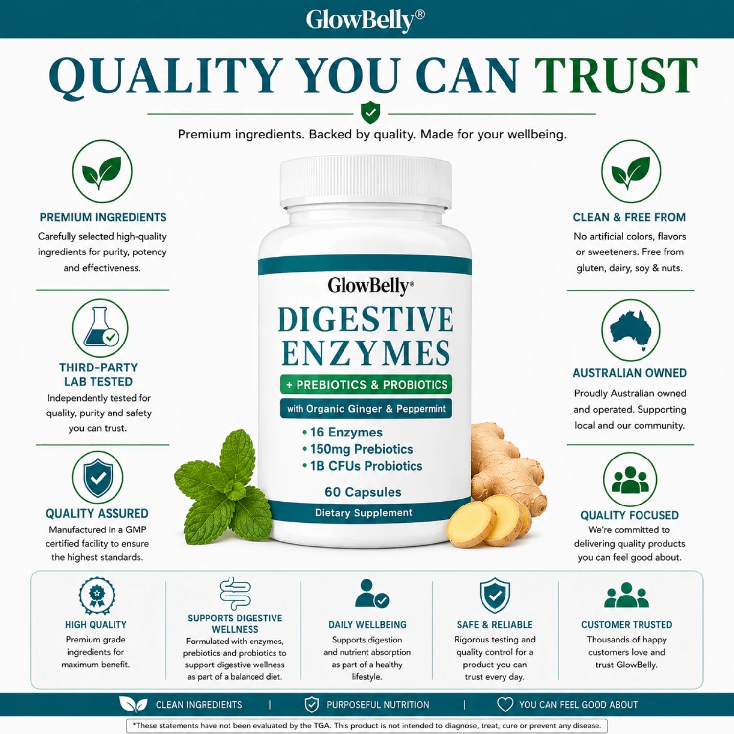 Digestive Enzymes