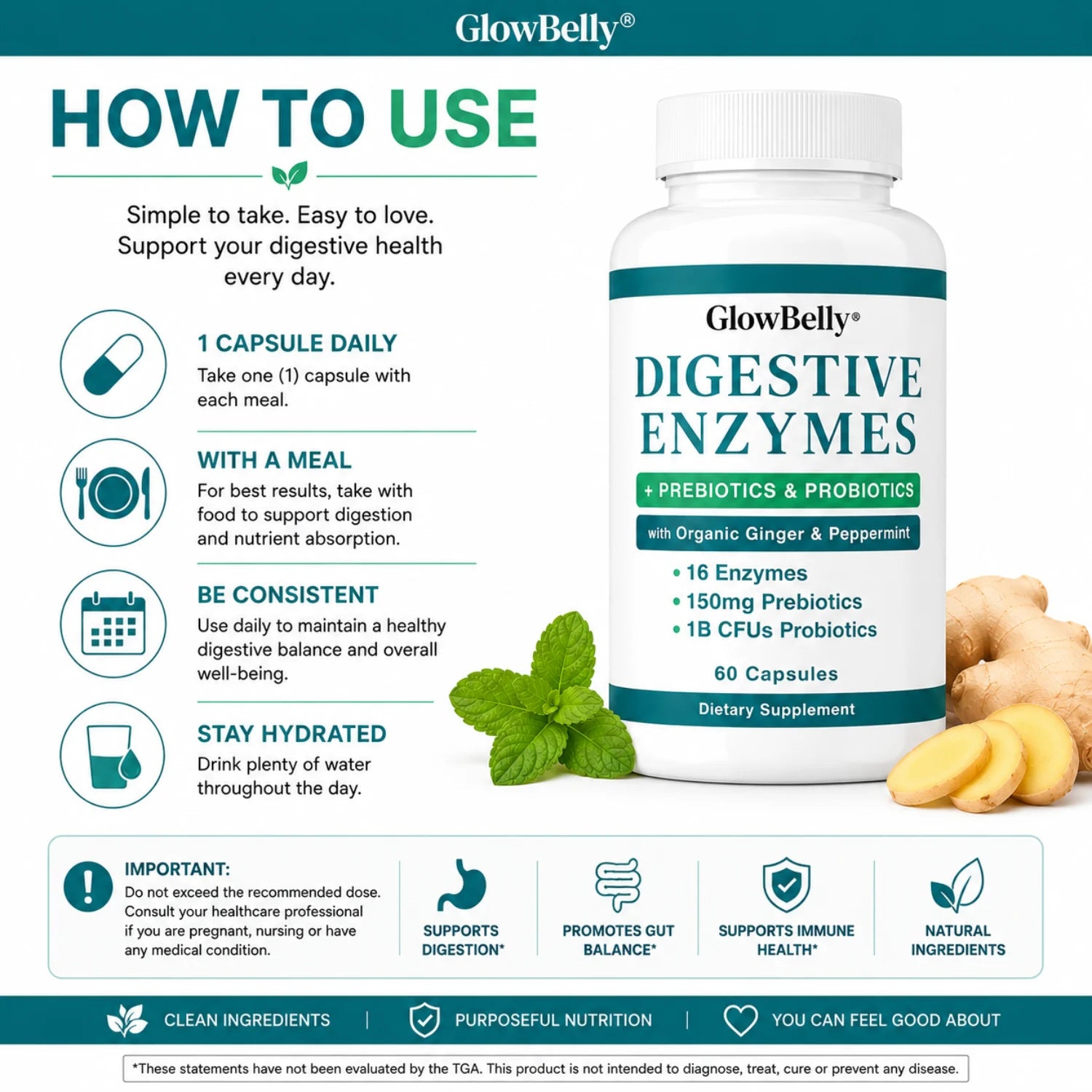 Digestive Enzymes
