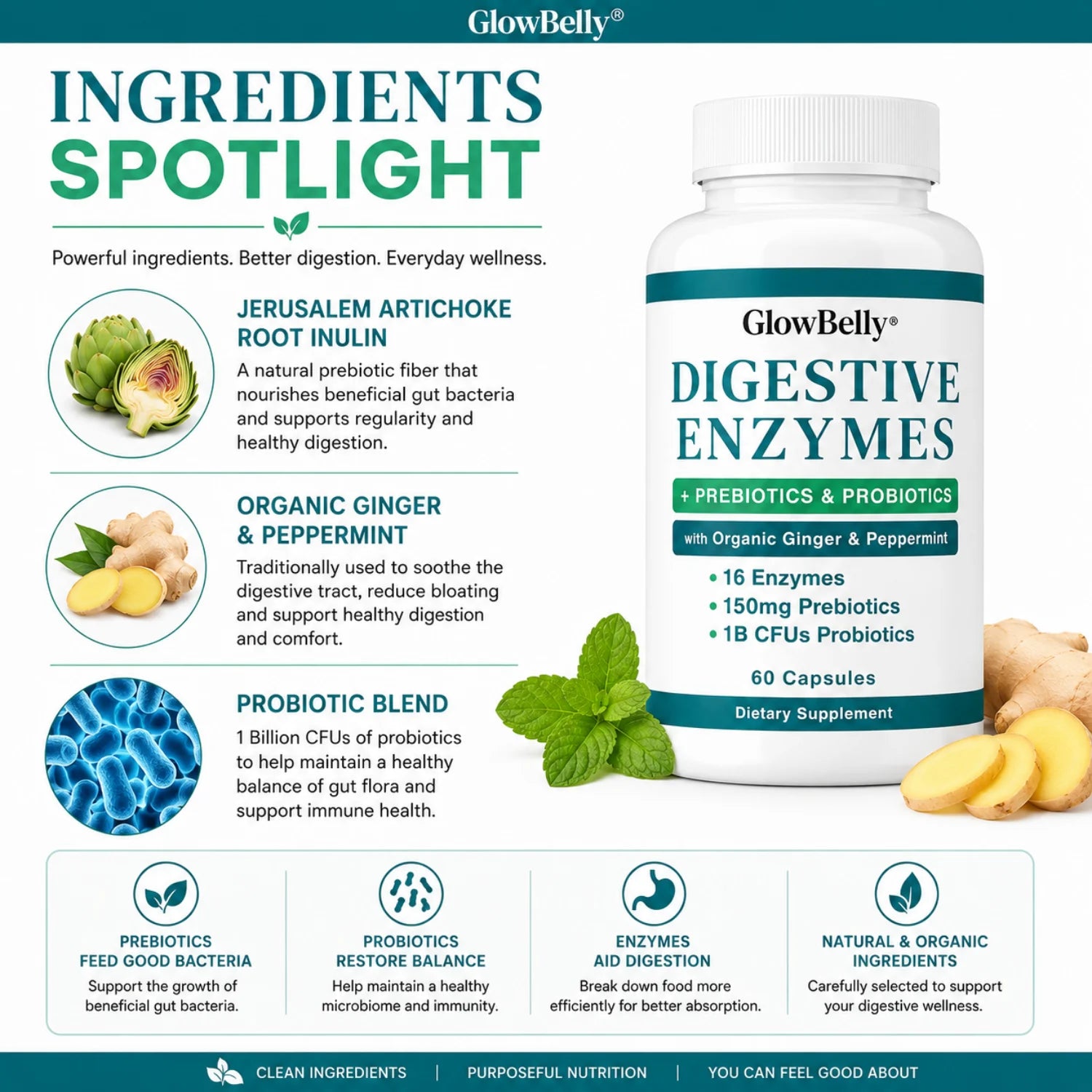 Digestive Enzymes